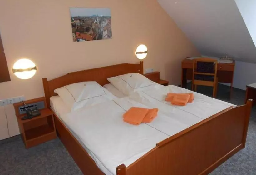 هتل Goldener Engel /pension