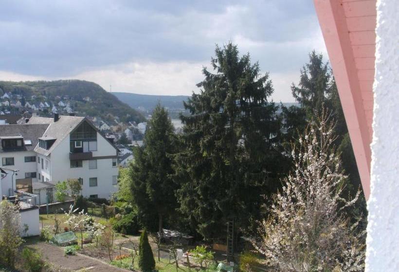 ホテル Rheinmoselview
