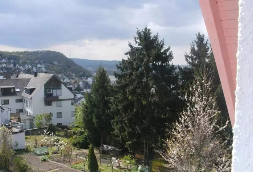 Hotelli Rheinmoselview