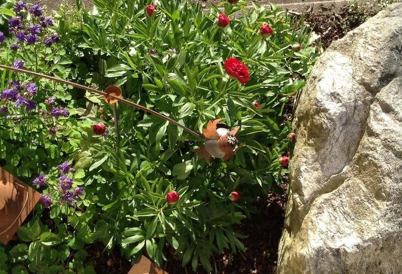 酒店 Restaurant Sonnenhang