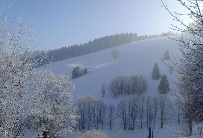 酒店 Restaurant Sonnenhang