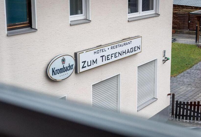 酒店 Tiefenhagen Sauerland