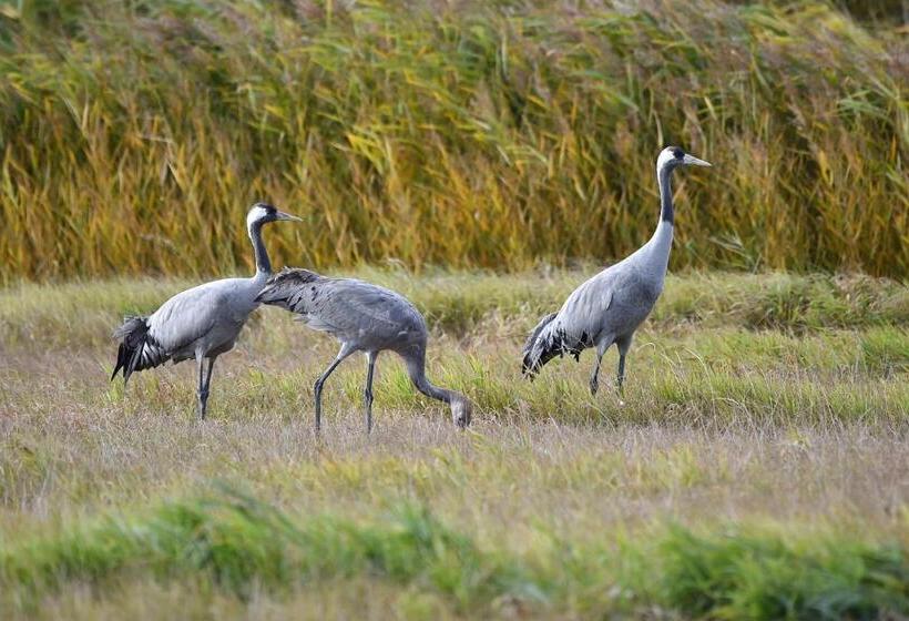 Landhaus Müritzgarten Hotel Garni