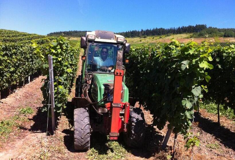 Weingut Aparthotel Olinger