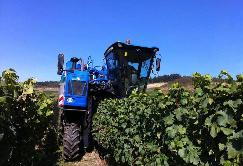 Weingut Aparthotel Olinger