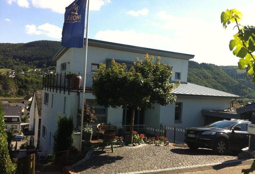 Weingut Aparthotel Olinger