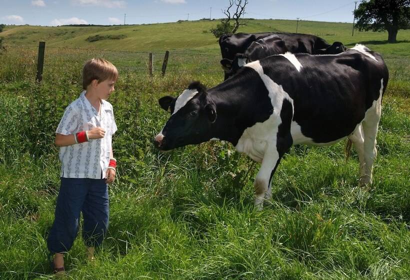 ベッドアンドブレックファースト Ellesmere House