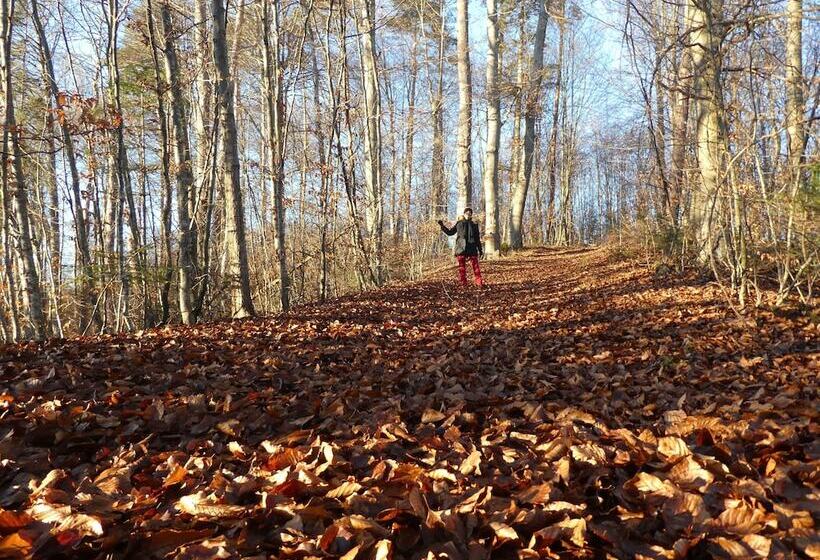 호텔 Alter Ziehbrunnen