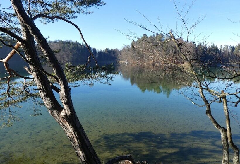 호텔 Alter Ziehbrunnen