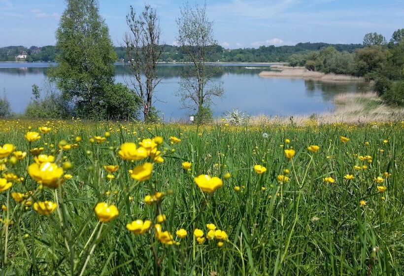 호텔 Alter Ziehbrunnen