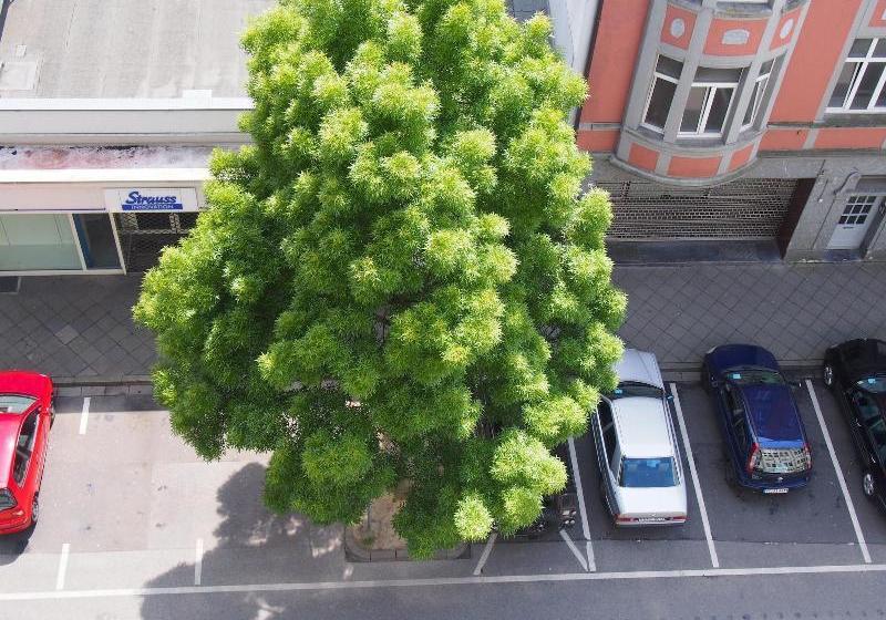Szálloda Domapartments Aachen City