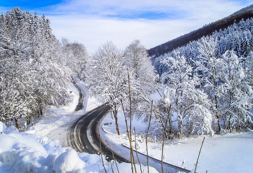 酒店 Gasthof Braun