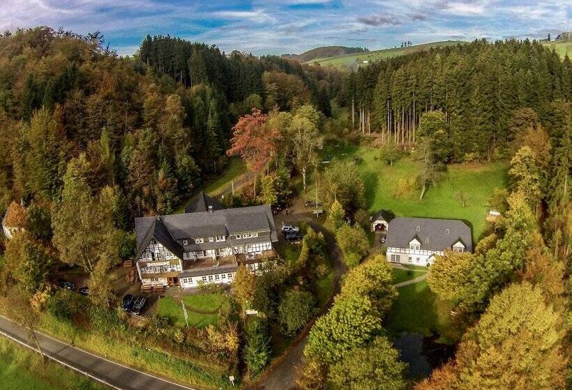 酒店 Gasthof Braun