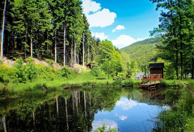 酒店 Gasthof Braun