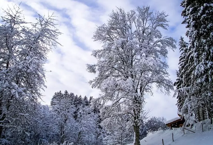 ホテル Gasthof Braun