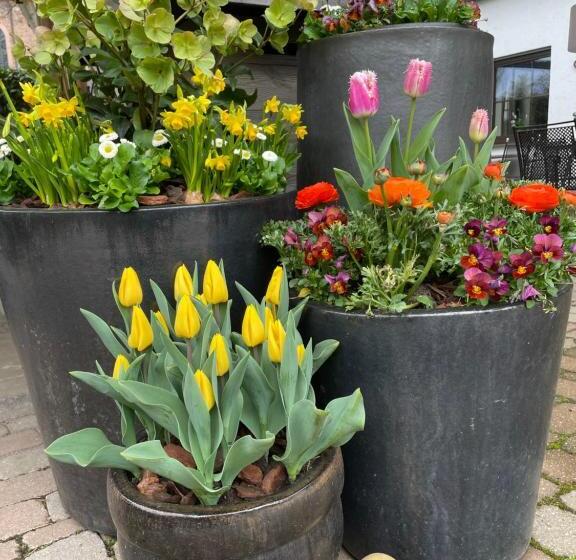 호텔 Schwarzwälder Hof Achern