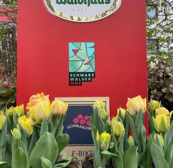 호텔 Schwarzwälder Hof Achern