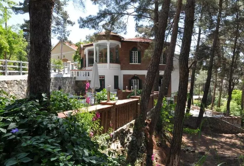 Semiramis Boutique Hotel & Spa