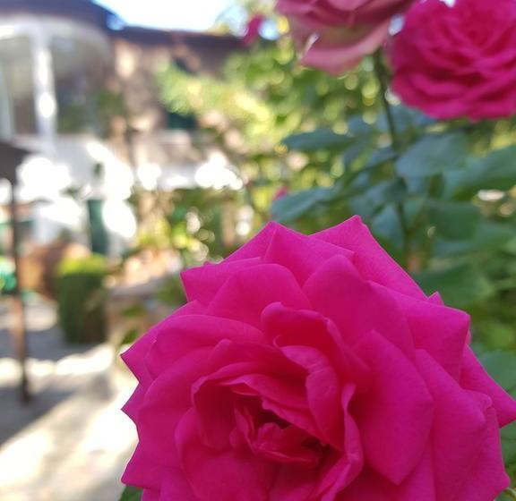 Semiramis Boutique Hotel & Spa