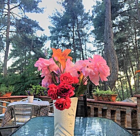 Semiramis Boutique Hotel & Spa