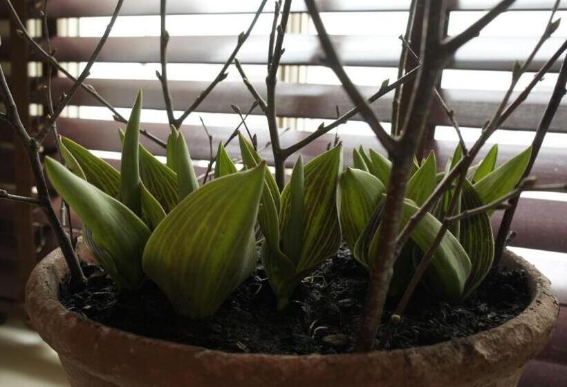 تختخواب و صبحانه Abergavenny