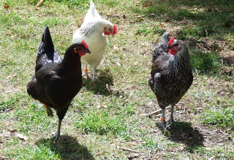 צימר Glen House Annexe