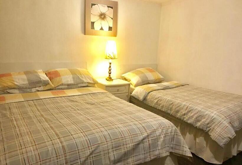 مبيت وإفطار Merchant House