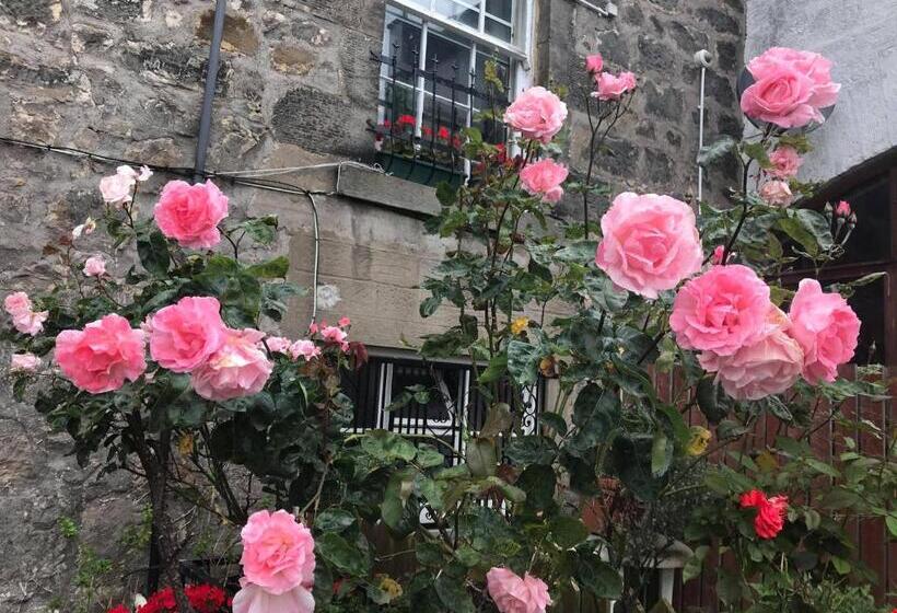 مبيت وإفطار Merchant House