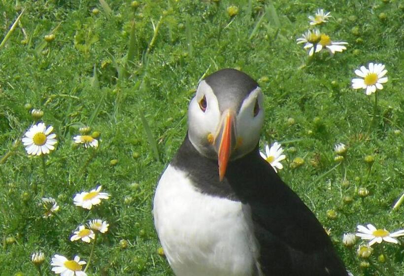 住宿加早餐 Rectory Farm