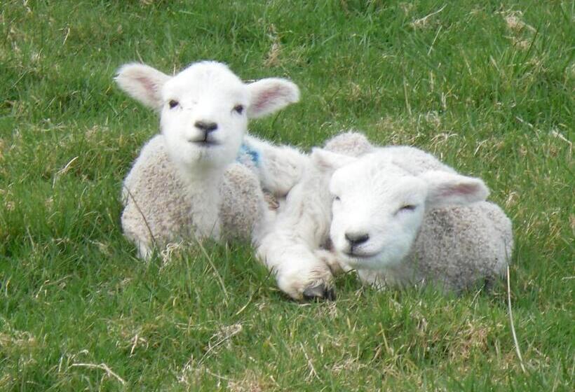 住宿加早餐 Rectory Farm