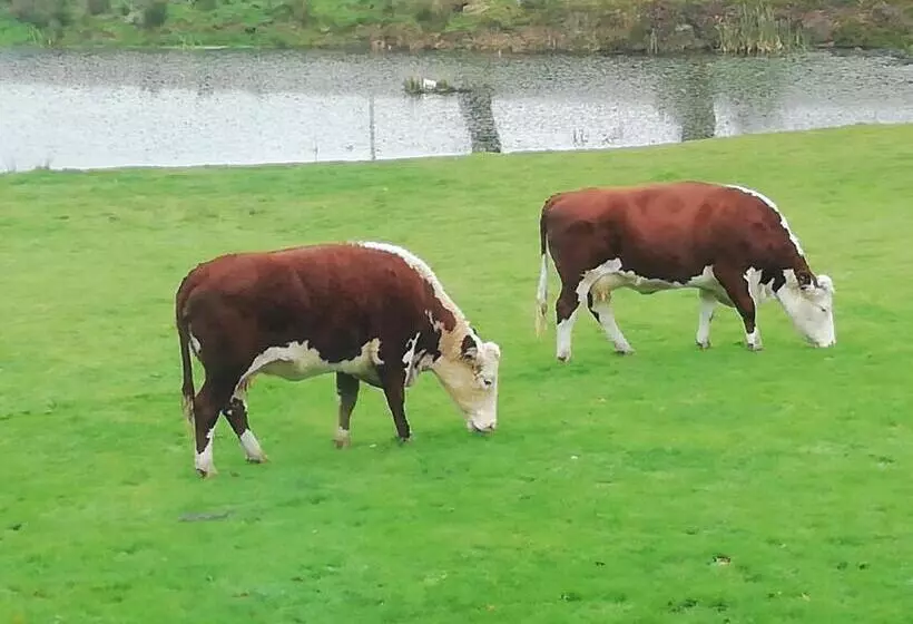 تختخواب و صبحانه Rectory Farm