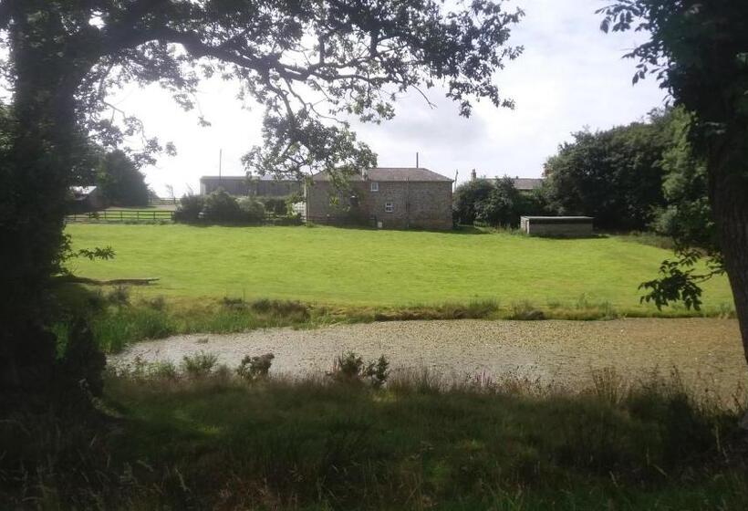 住宿加早餐 Rectory Farm