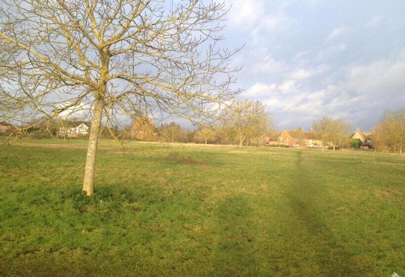 住宿加早餐  Red Lion Accommodation