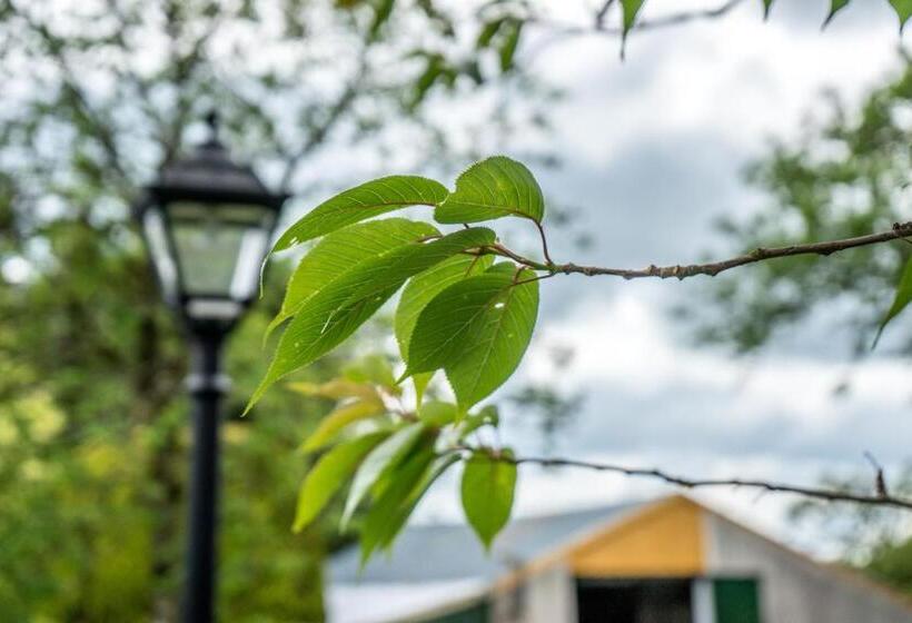 Bed and Breakfast Tattykeel House
