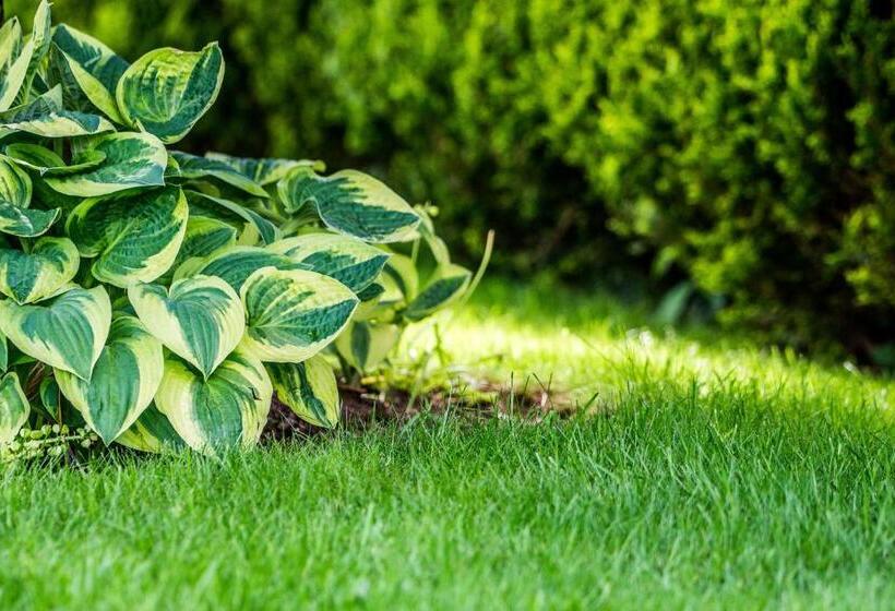 Bed and Breakfast Tattykeel House