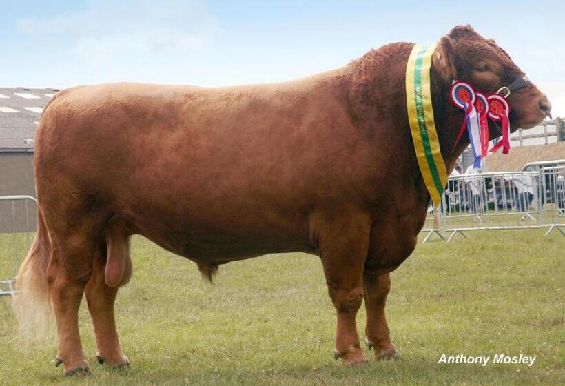 צימר Tregondale Manor Farm