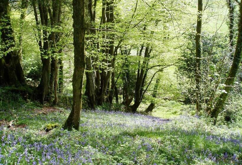 צימר Tregondale Manor Farm