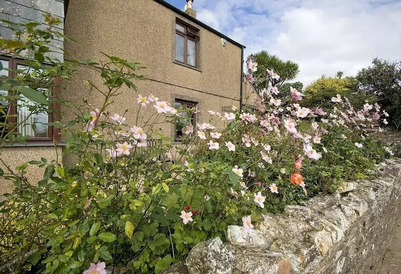 Aamiaismajoitus (B&B) Tregondale Manor Farm