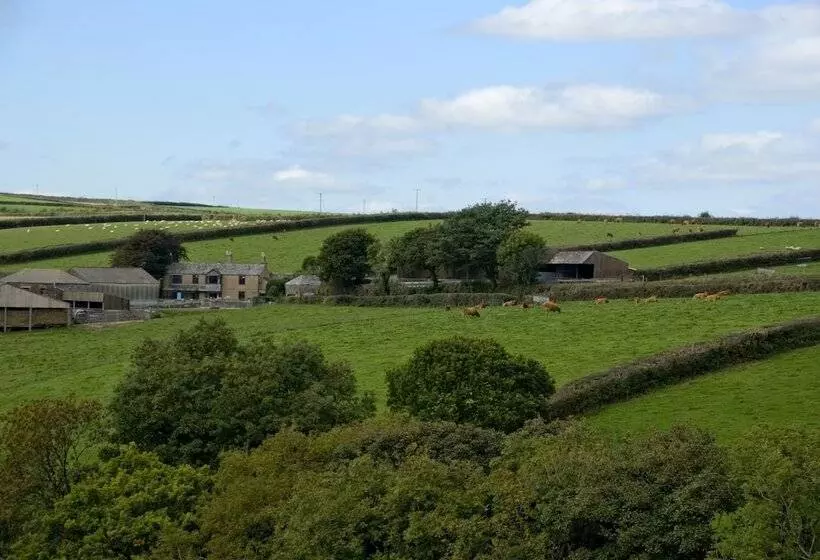 Aamiaismajoitus (B&B) Tregondale Manor Farm
