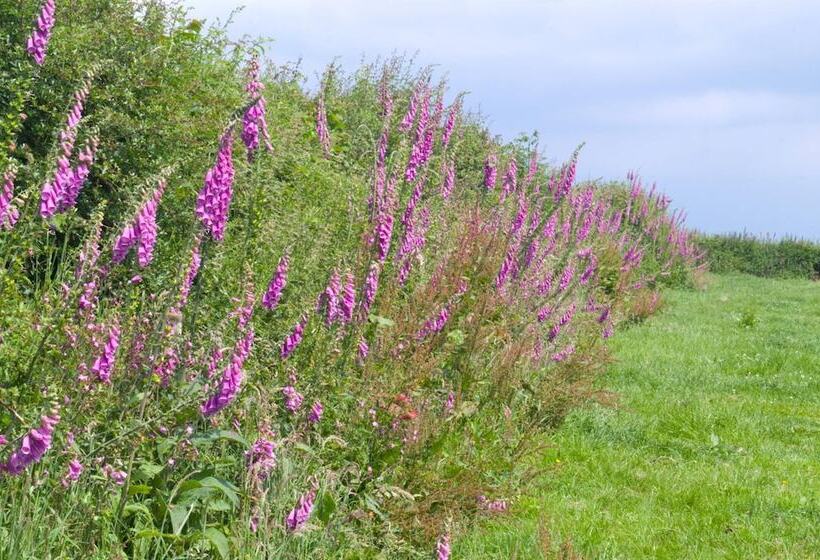 צימר Tregondale Manor Farm