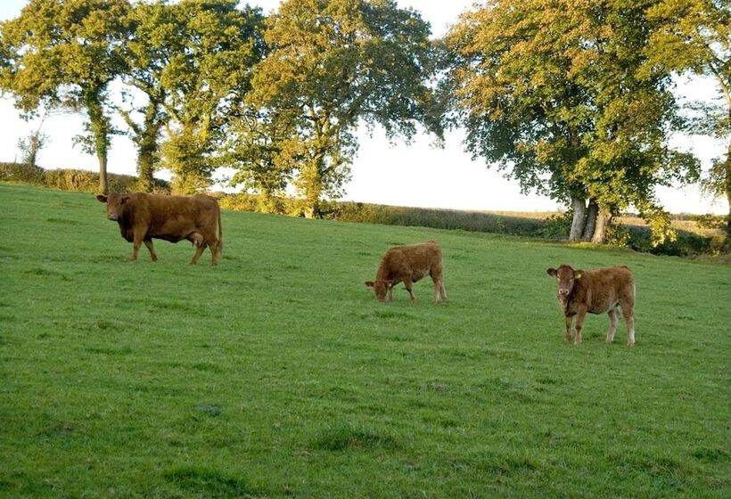 צימר Tregondale Manor Farm