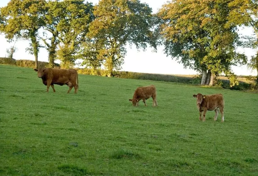 Aamiaismajoitus (B&B) Tregondale Manor Farm
