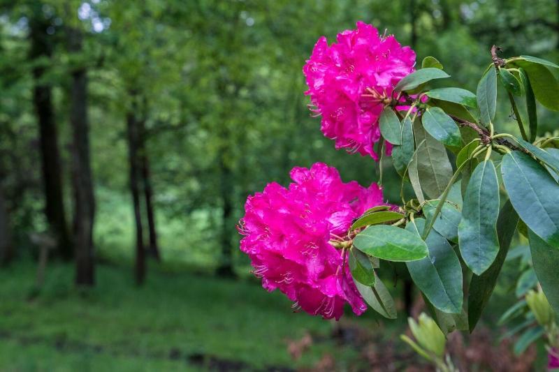 민박 West Plean House