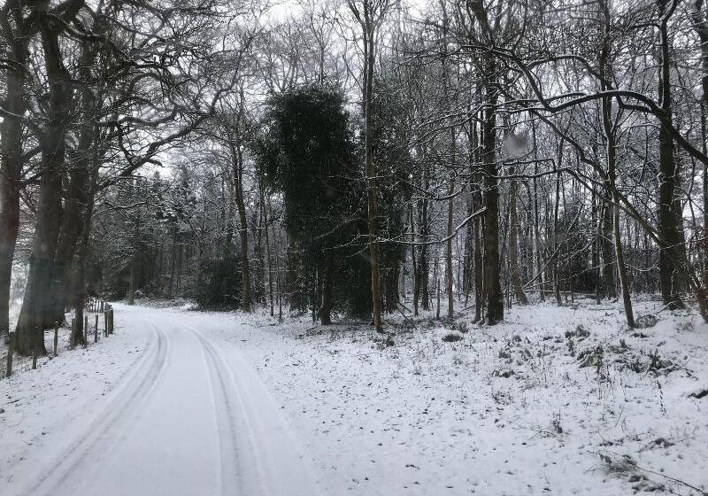 민박 West Plean House