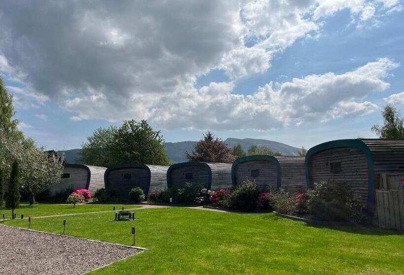 Bed and Breakfast Whitemoss Lodge