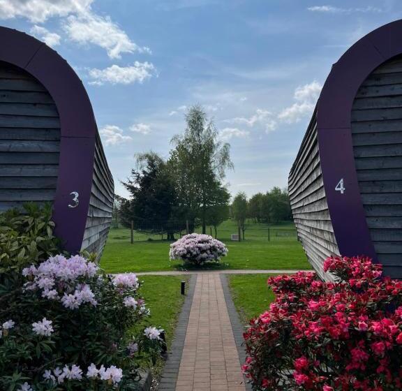 Bed and Breakfast Whitemoss Lodge