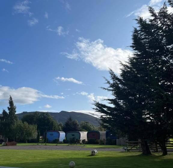 Bed and Breakfast Whitemoss Lodge