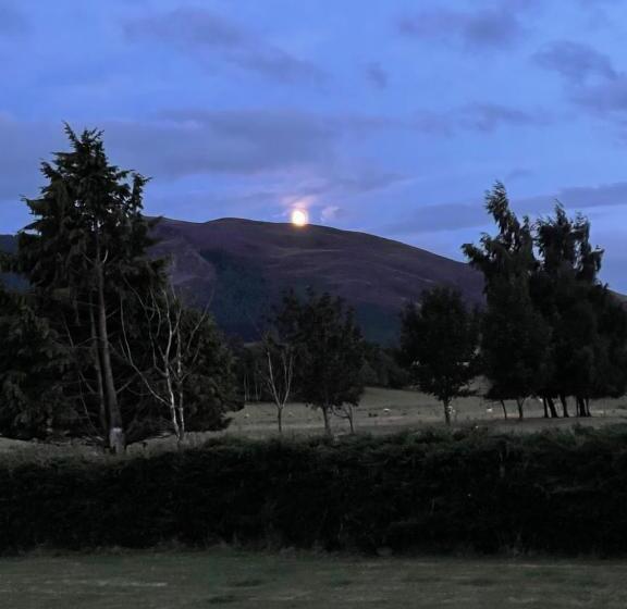 Bed and Breakfast Whitemoss Lodge