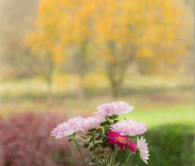 Brantholme Bed & Breakfast