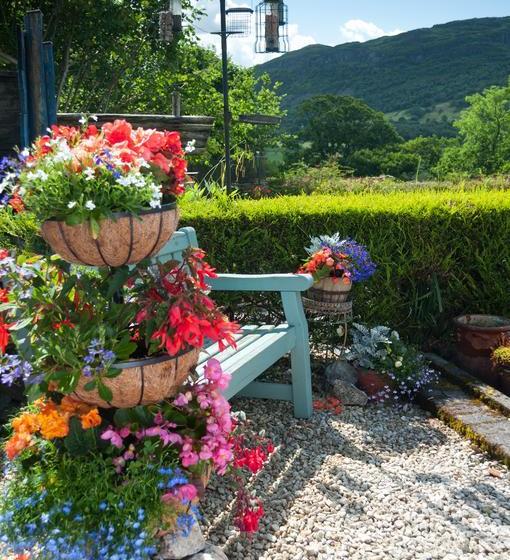 Bwlch Y Fedwen Bed And Breakfast